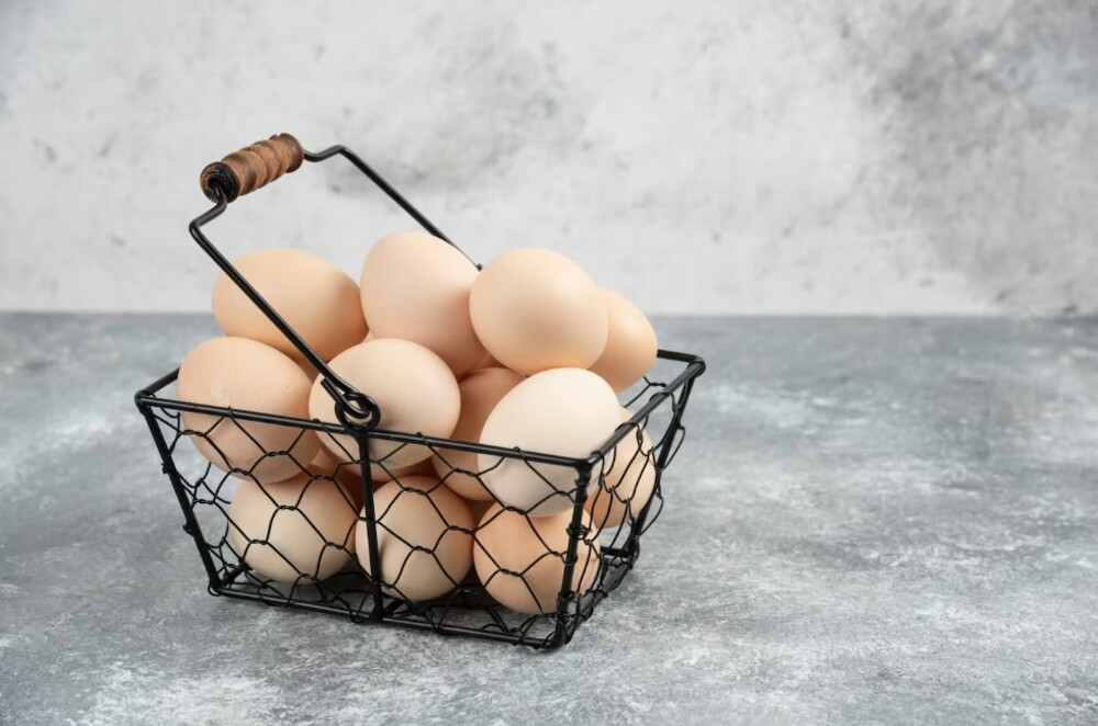 comprar huevos al por mayor